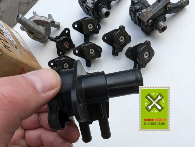 PXL_20240528_140151447